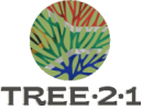 Tree 2 1 South Africa - Business Development & Financing